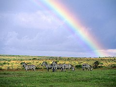 After the Storm, Kenya, Africa